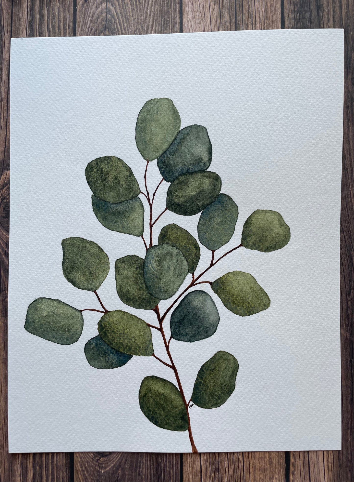 Eucalyptus Branch - Original Watercolour Painting