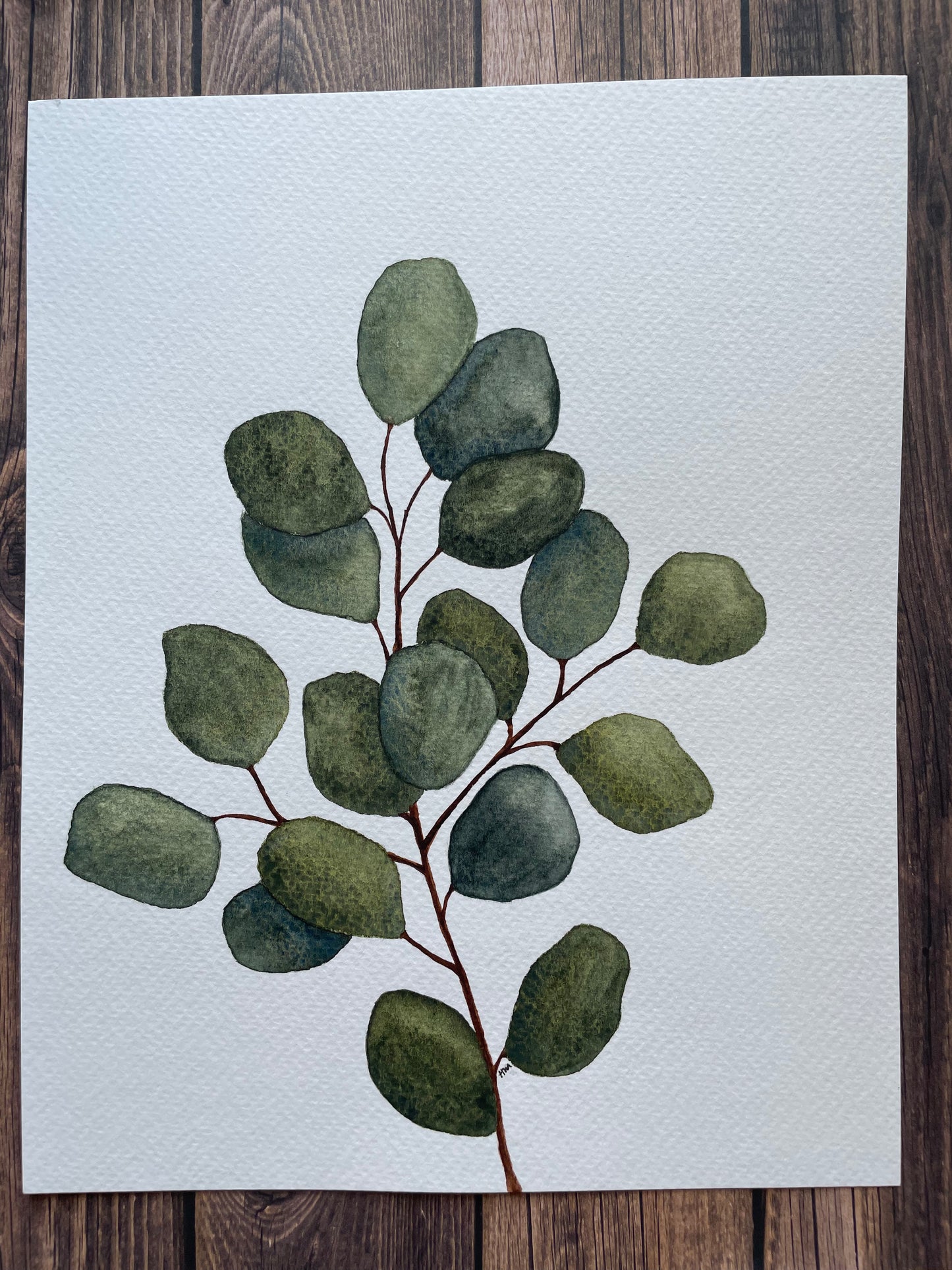 Eucalyptus Branch - Original Watercolour Painting